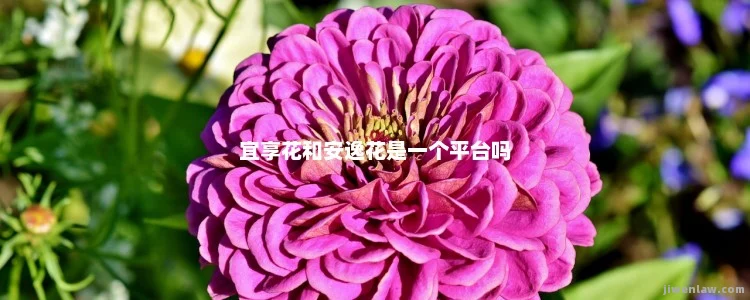 宜享花和安逸花是一个平台吗