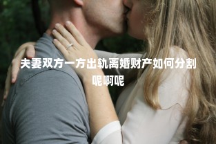 夫妻双方一方出轨离婚财产如何分割呢啊呢